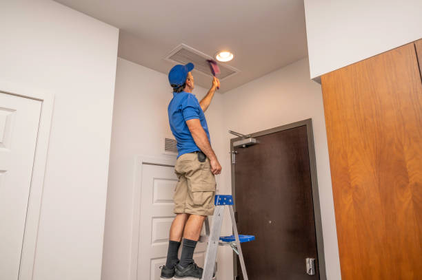 Best Ventilation Cleaning Services  in Cassopolis, MI